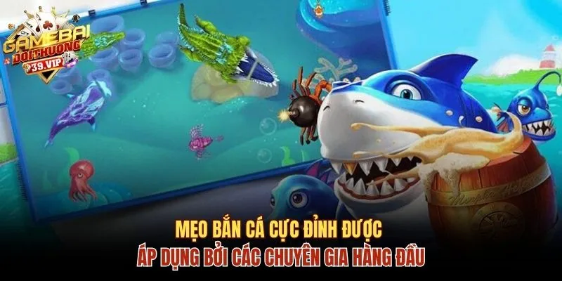 Mẹo bắn cá cực đỉnh được áp dụng bởi các chuyên gia hàng đầu